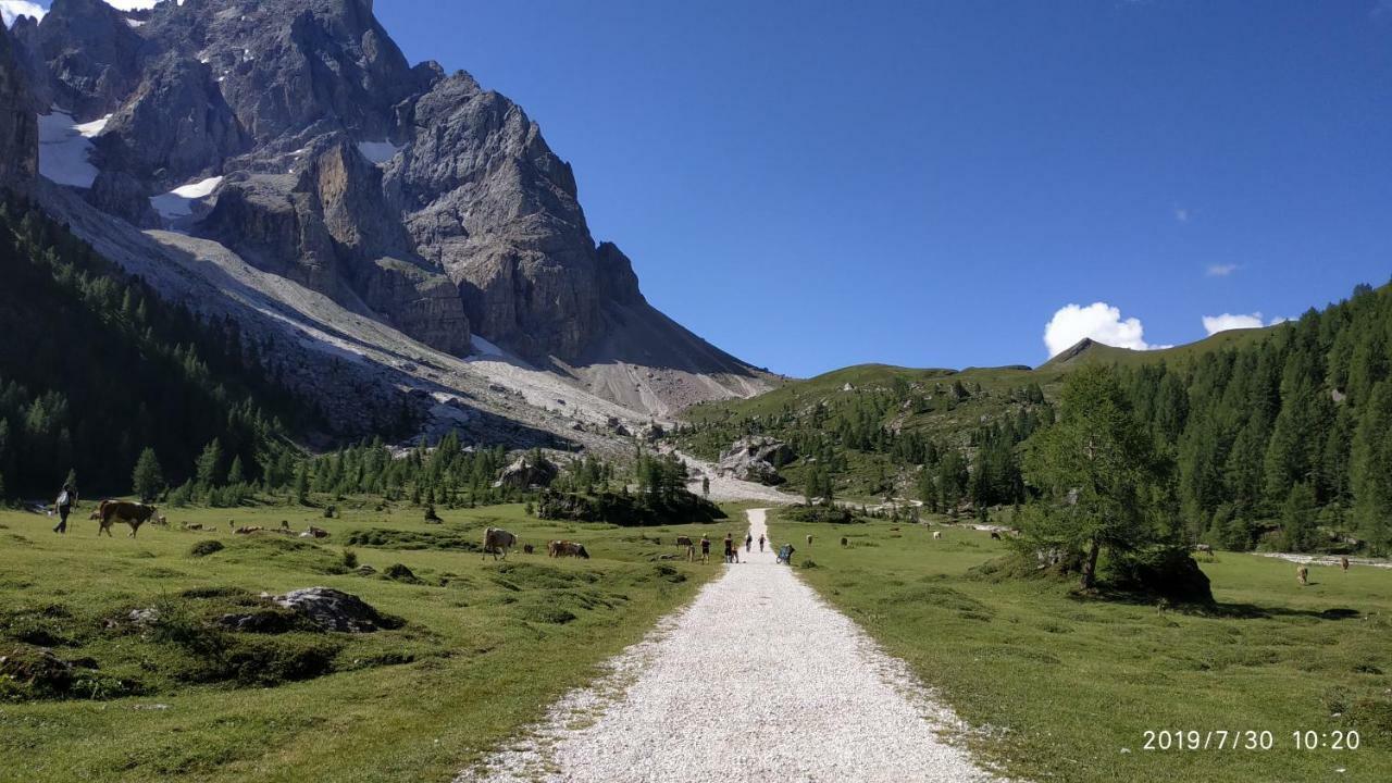 Il Covo Dello Sciatore Apartamento Falcade Exterior foto